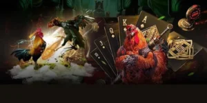 Cách Chơi Đá Gà GA28 Tại 12Bet Chinh Phục Sảnh Cược Đỉnh Cao